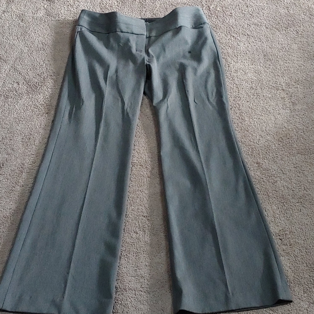 Express Editor Pants